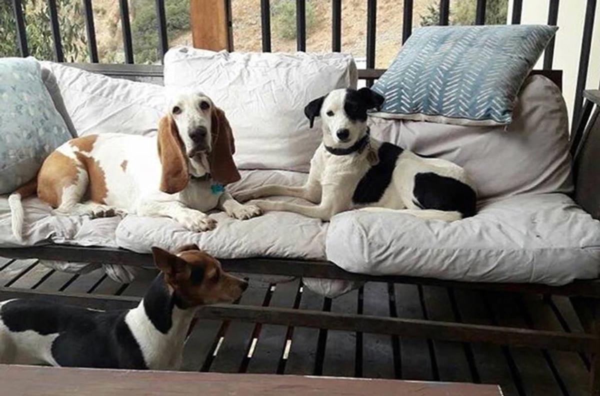 Perriot Hotel Canino