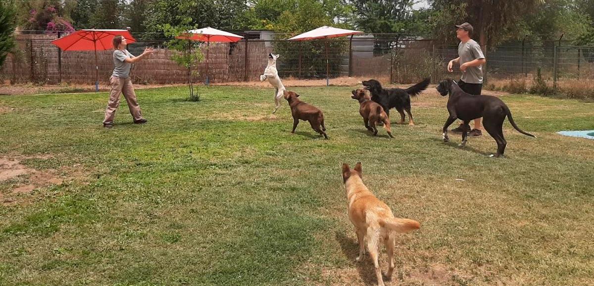 Jardin Animal Hotel