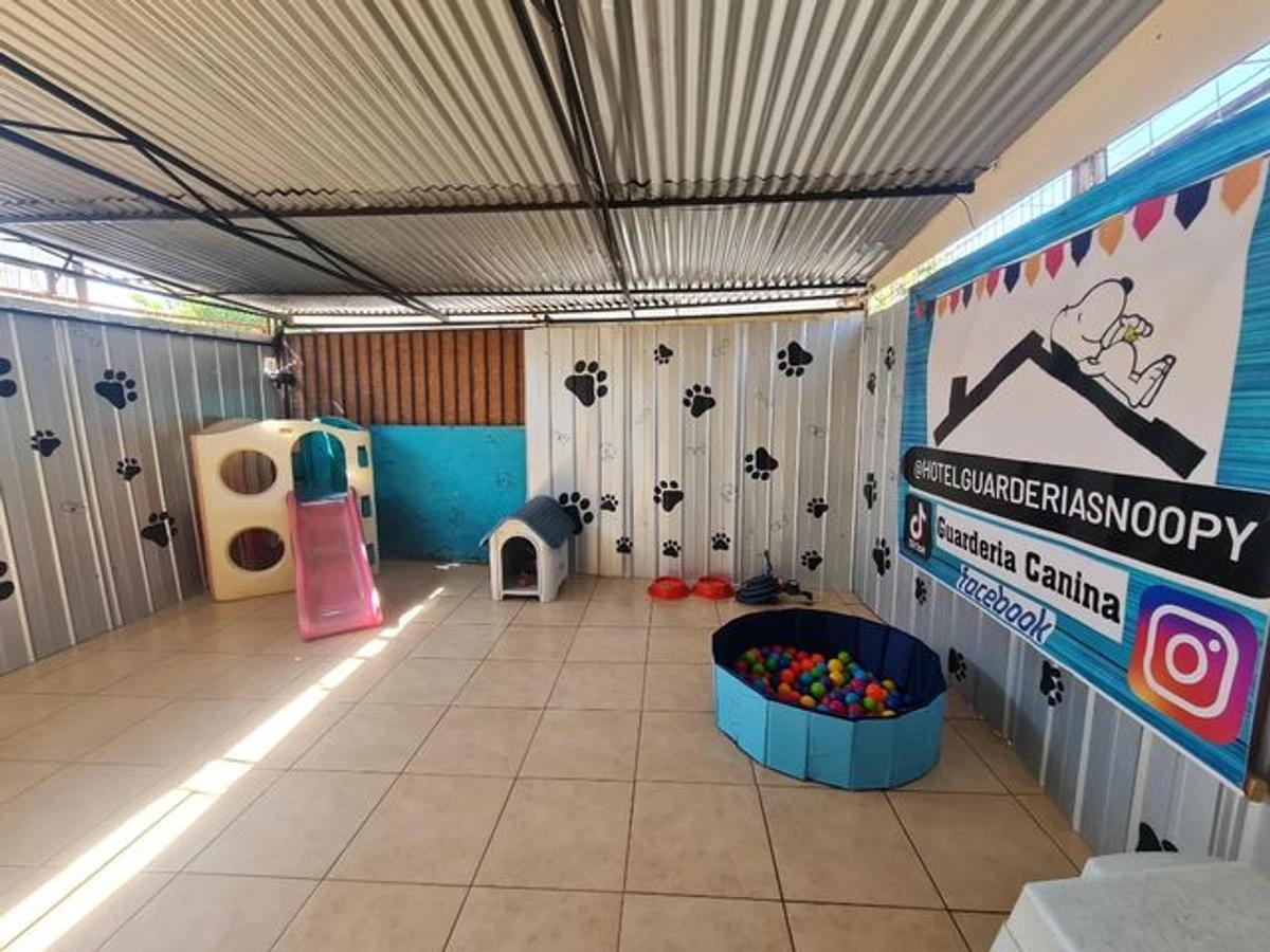 Hotel Canino Snoopy