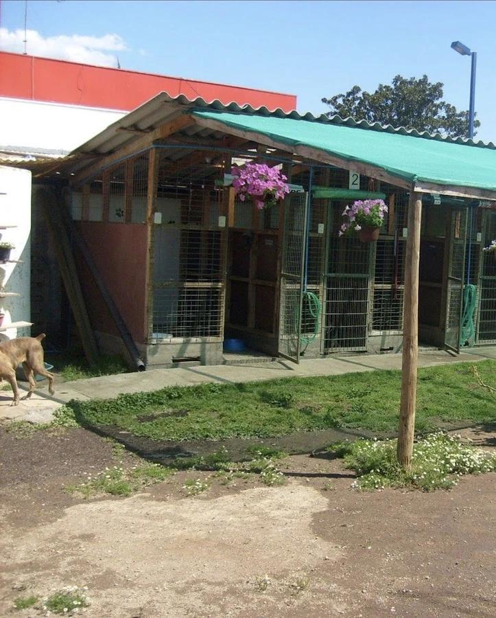 Mascotas Hostal Veterinario
