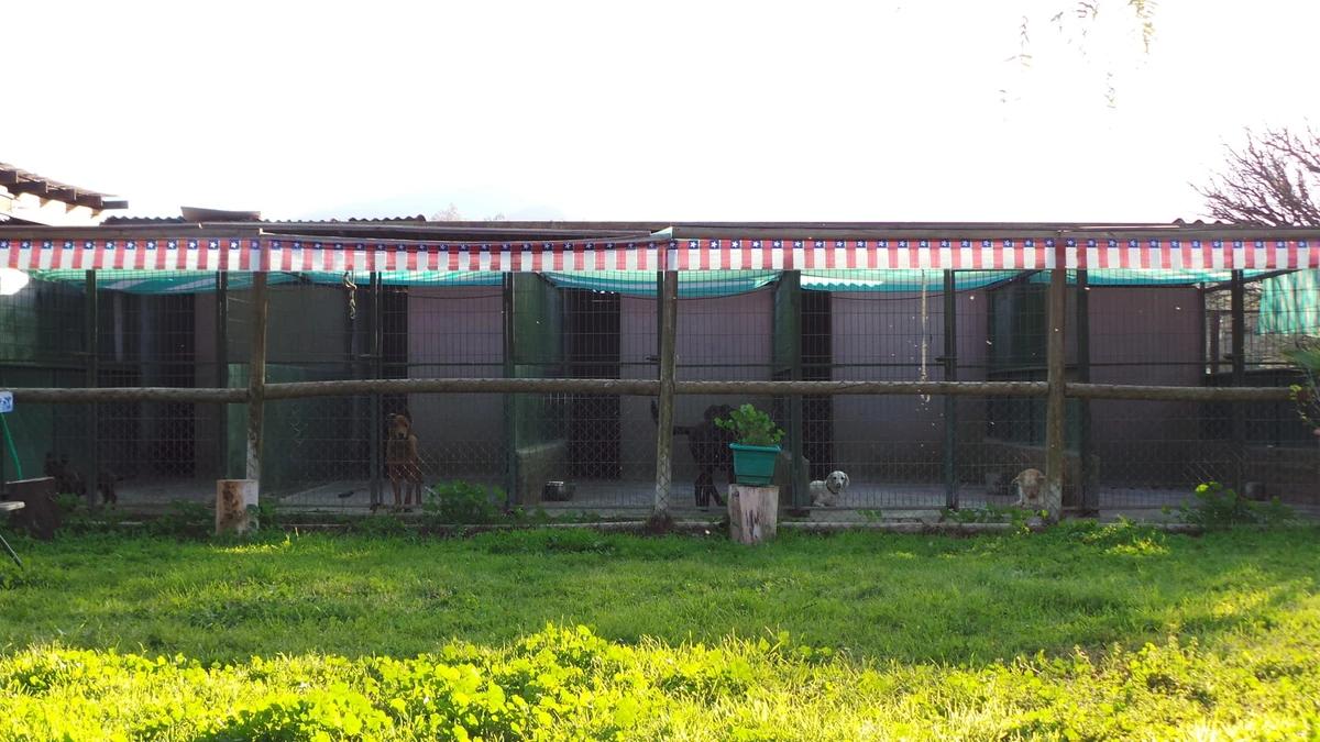 Hotel Canino VonNienhuser