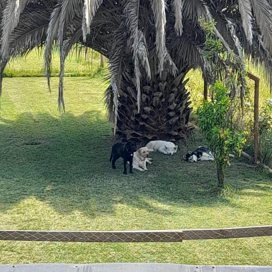 Huellas Resort.cl