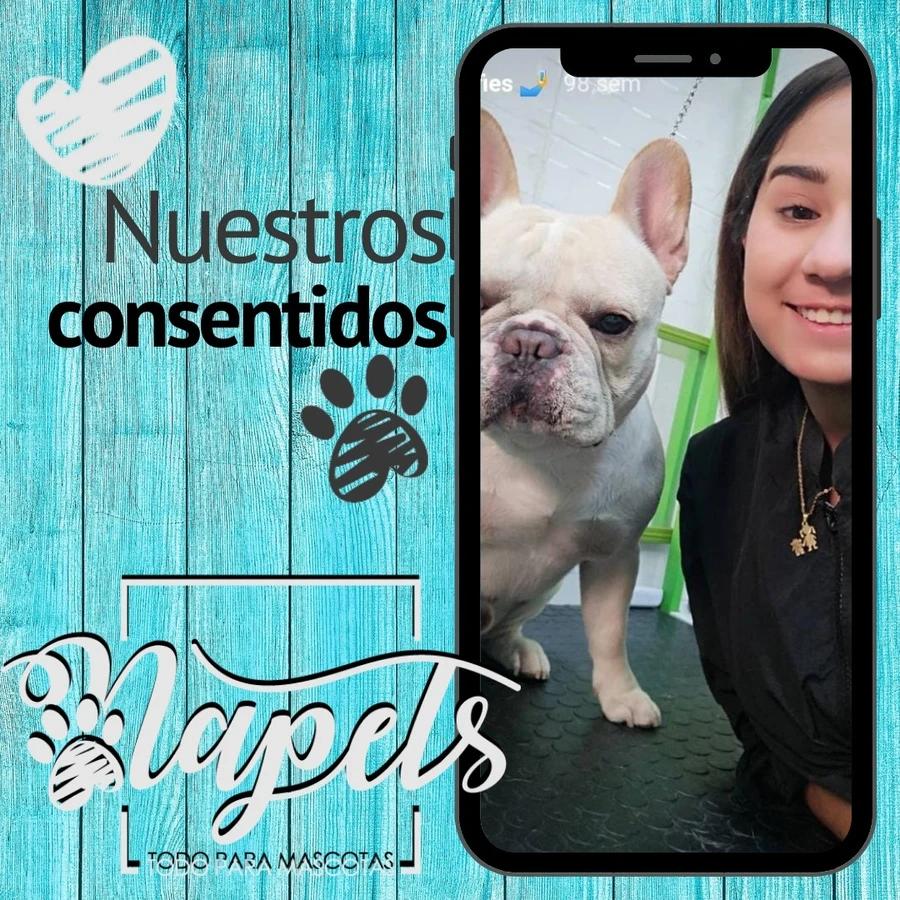 Napets