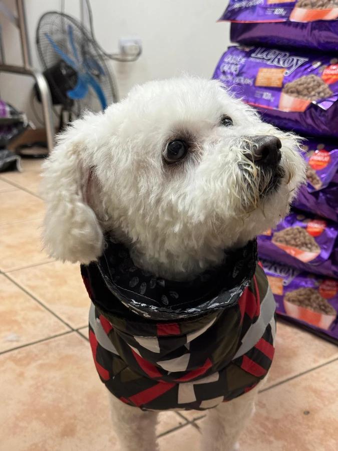 Happy Pets Wash