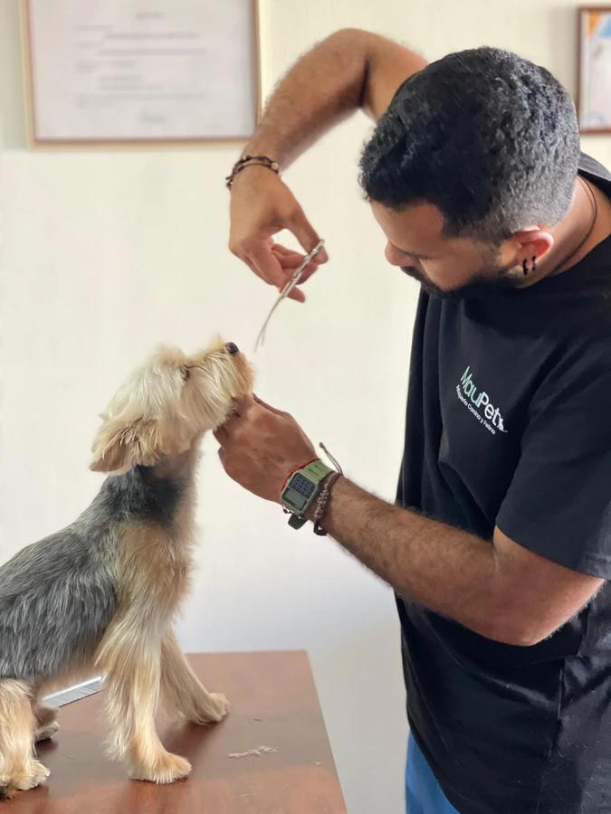 Peluqueria Gatitos y Perritos